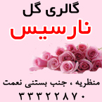 گالری گل نارسیس