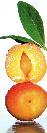 تقویت پوست با میوه