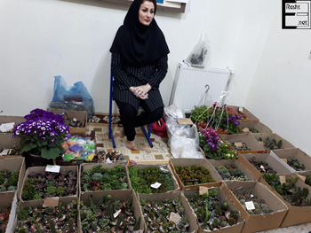 دبستان و پیش دبستانی آفرینش - رشت