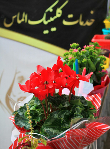 کلینیک پوست و مو و لیزر الماس - رشت