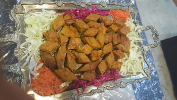 almas talar opt26