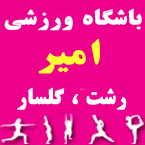 باشگاه ورزشی امیر