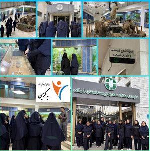 دبیرستان دخترانه هوشمند به گزین رشت