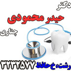 دکتر حیدر محمودی چناری