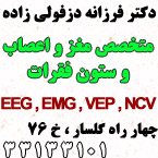 دکتر فرزانه دزفولی زاده