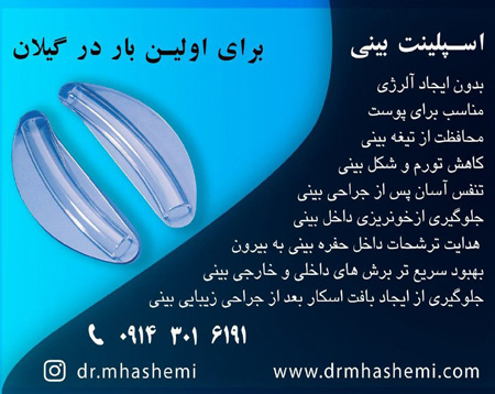 دکتر مهدی هاشمی