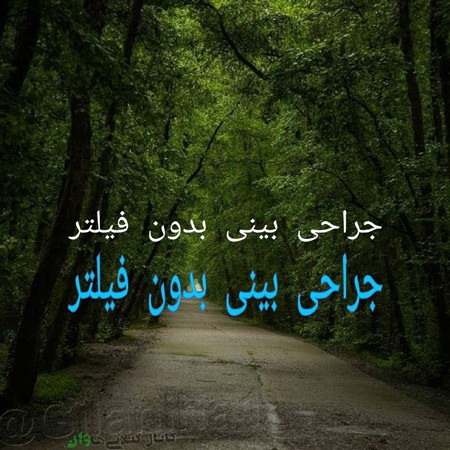 دکتر مهدی هاشمی