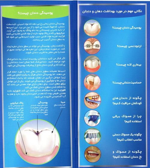 دکتر میرجلال میرفیضی