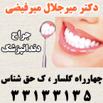 دکتر میر جلال میر فیضی