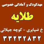 مهدکودک و آمادگی خصوصی طلایه