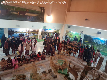 دبستان و آمادگی الکترونیک دخترانه ریحانه دبستان و آمادگی الکترونیک دخترانه ریحانه - رشت