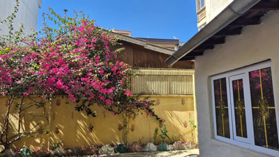 هنرستان غیر دواتی دخترانه شمس تبریزی - رشت