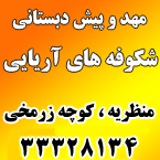 مهد و پیش دبستانی شکوفه های آریایی